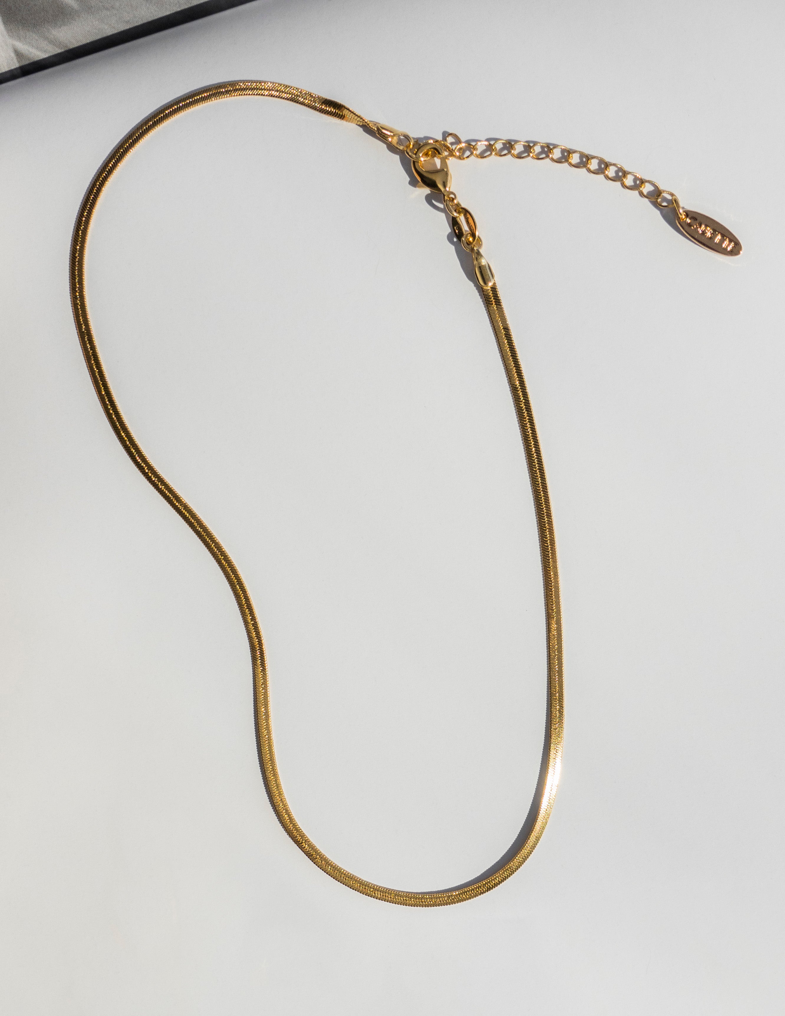 Madewell Herringbone Chain Necklace | Zappos.com