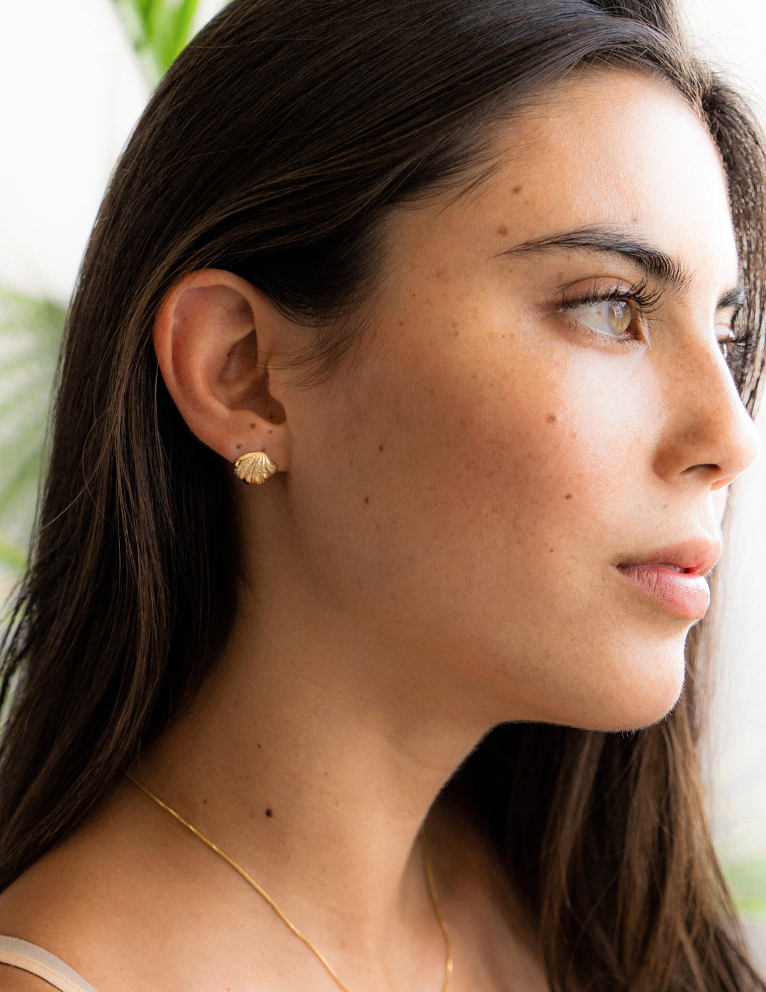 Coquina Earrings in Gold