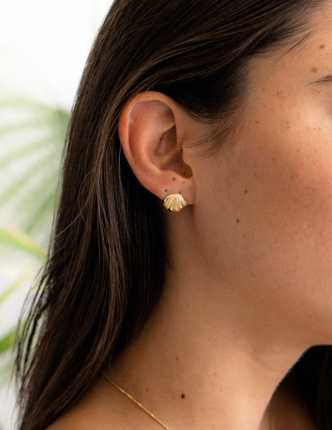 Coquina Earrings in Gold