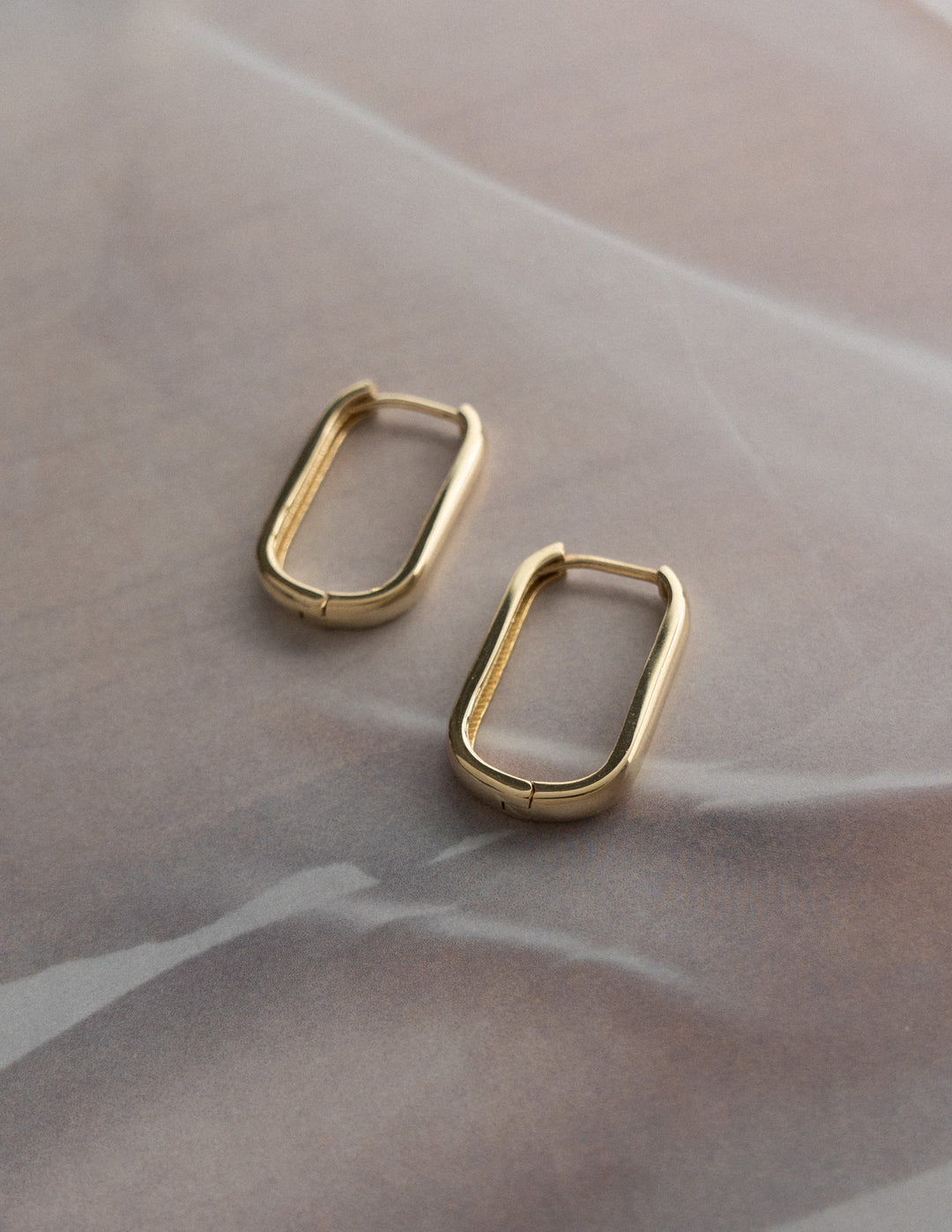 Meridian Hoop Earrings in Gold